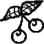 极速168赛车官方网站图片